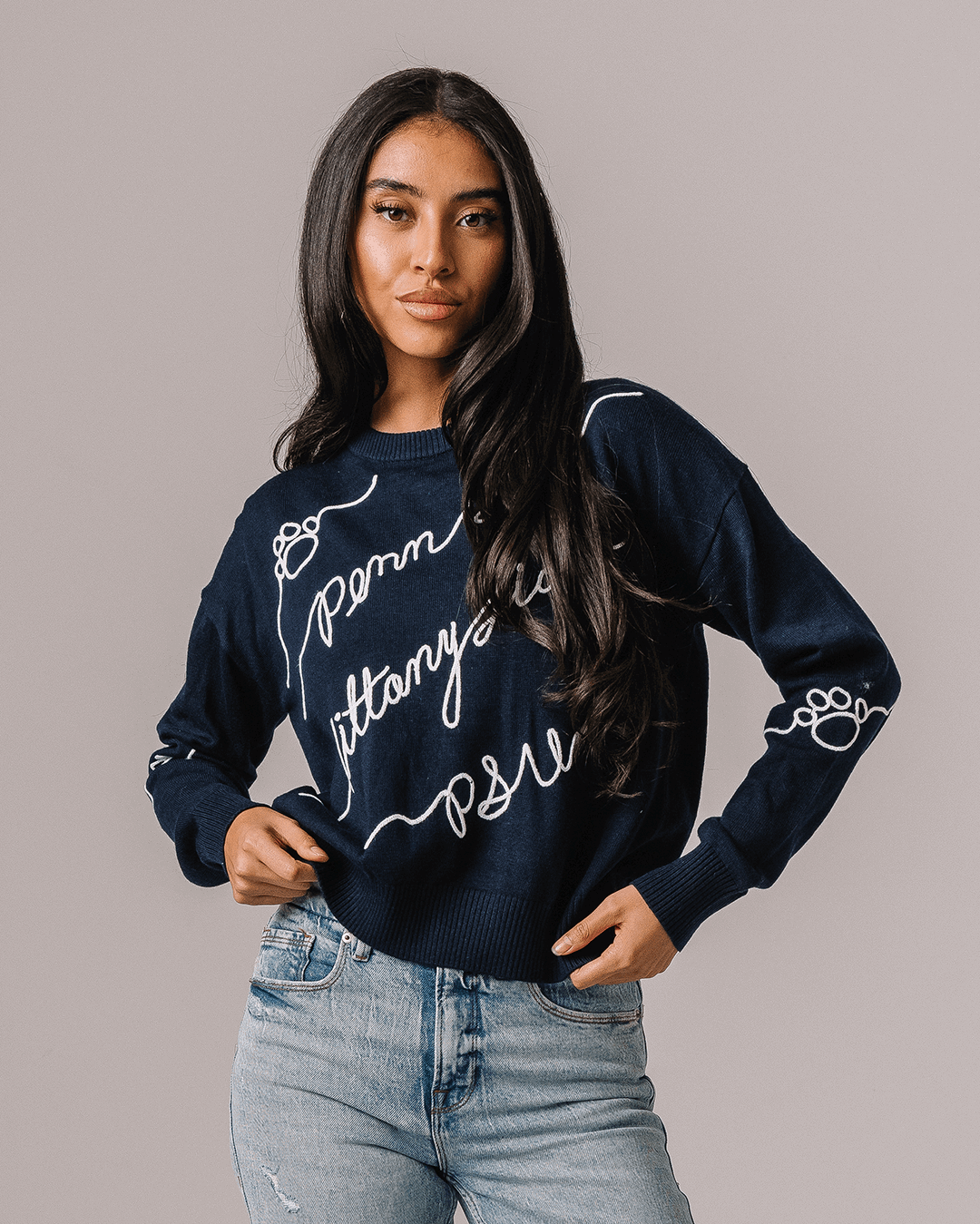 navy long sleeve sweater with penn state nittany lions embroidery, perfect for campus wear