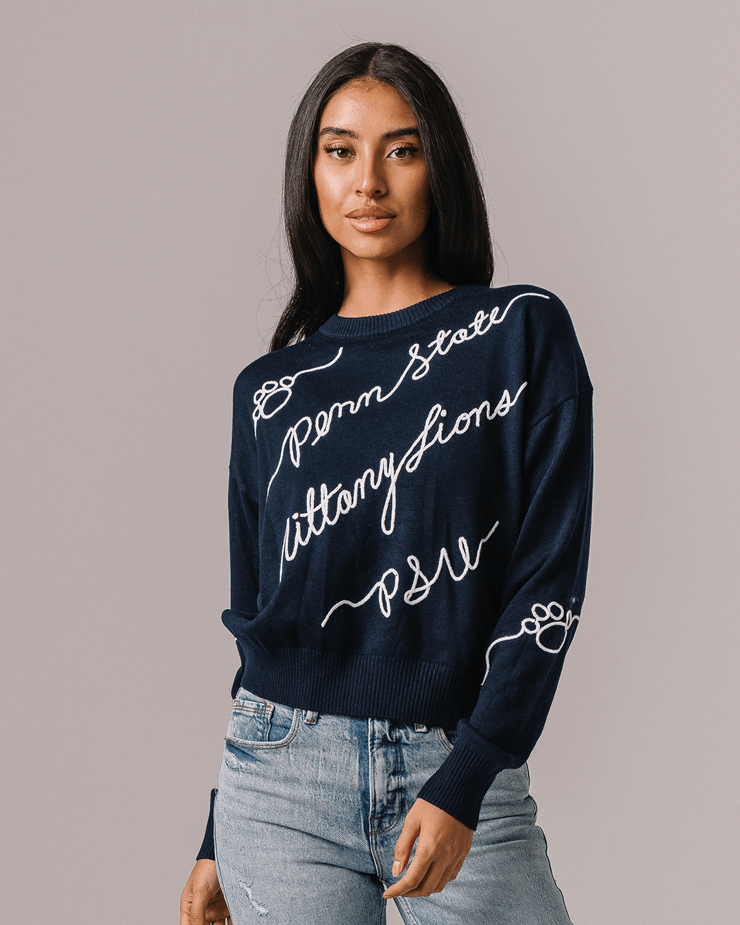 navy long sleeve sweater with penn state nittany lions embroidery, perfect for campus wear