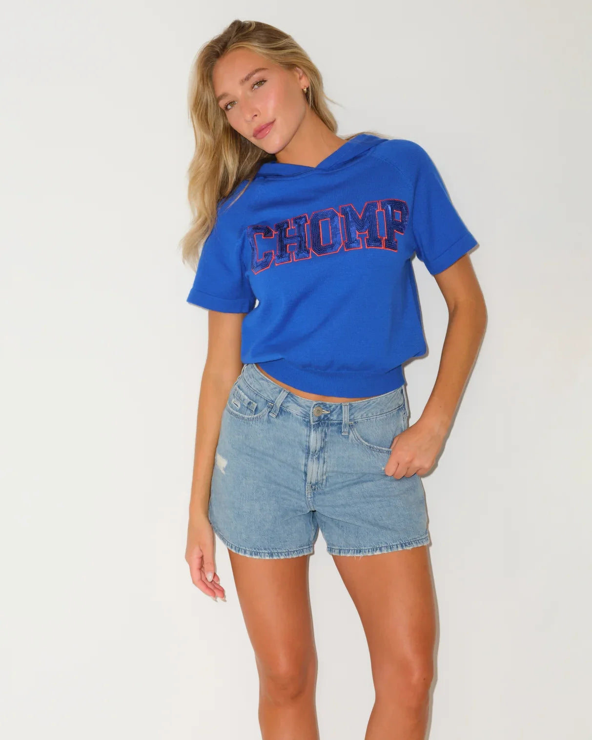 Chomp Short Sleeve Shine Knit Hoodie